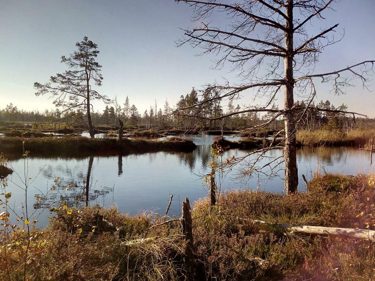 Kemeri Hotel In National Park - Free Parking Jūrkalne Eksteriør billede